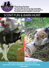Scent Fun and Barn Hunt